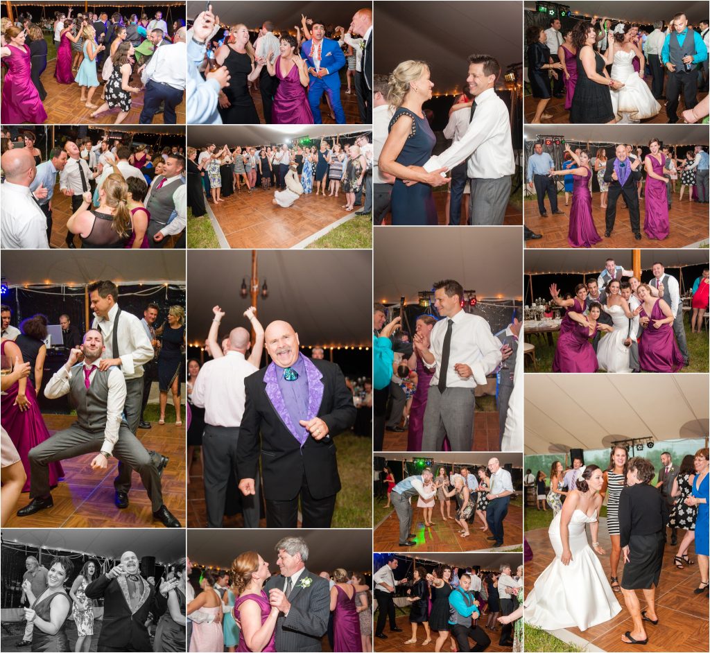 Seneca Lake NY Vineyard Wedding ceremony photos, reception dancing photos 