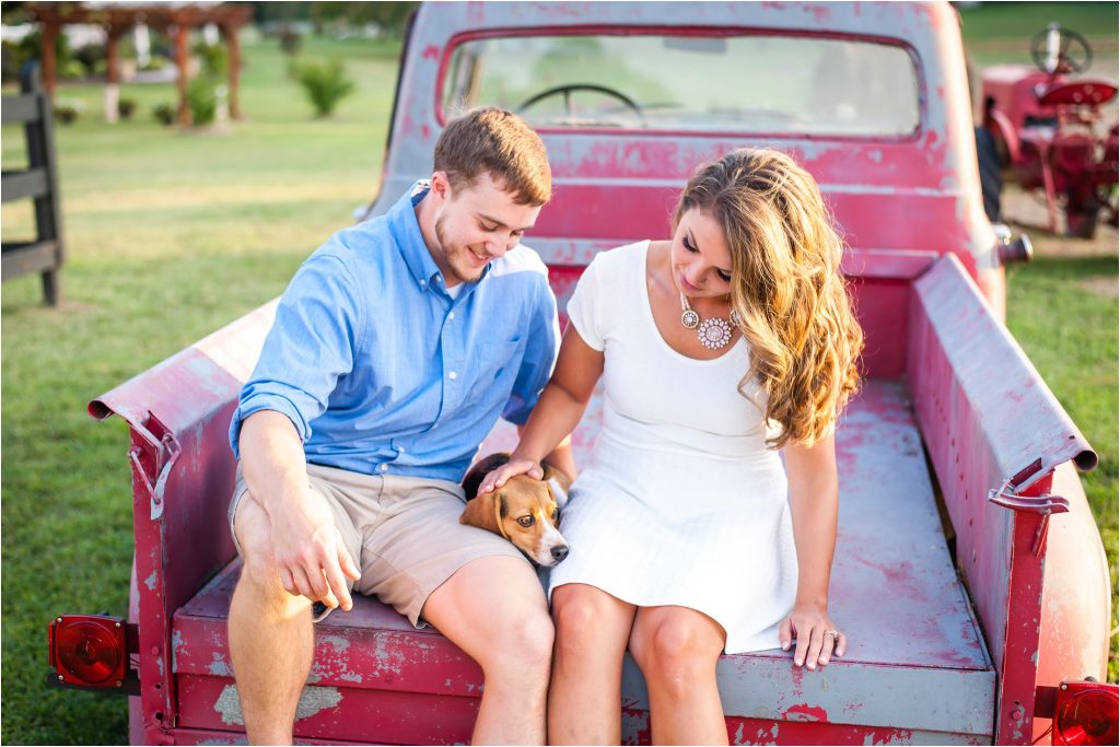 Fairview Farm summer sunset with vintage red truck and beagle dog engagement photo