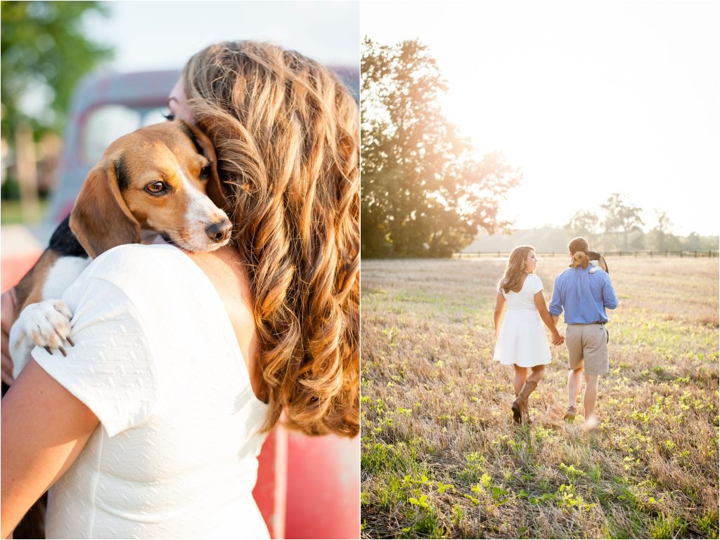 Fairview Farm summer sunset with beagle dog and field engagement photo