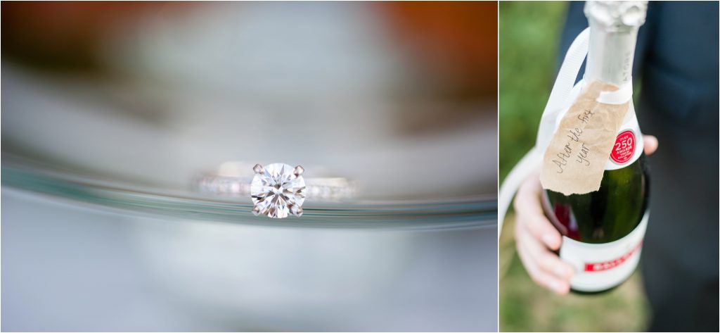 Frying Pan Park anniversary photoshoot close up engagement ring photo