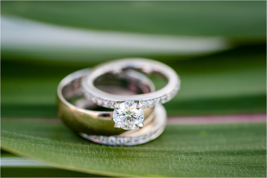 Frying Pan Park wedding ring shot on corn leaf photo