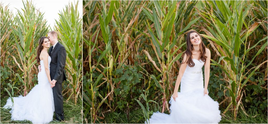 Frying Pan Park bridal portrait in field of corn photo
